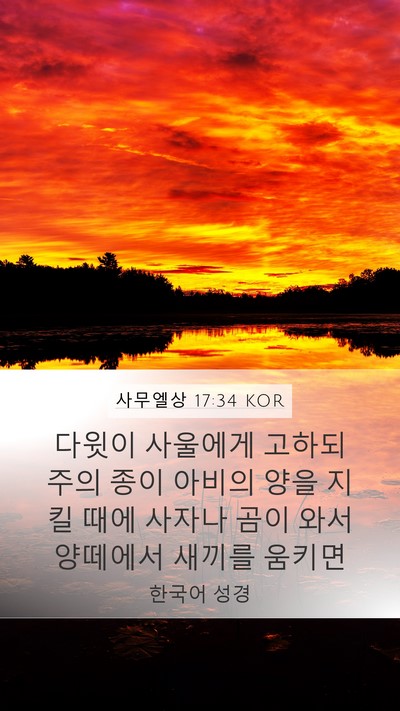 사무엘상 17:34 KOR Bible Verse Image