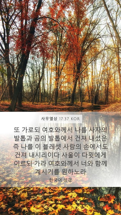 사무엘상 17:37 KOR Bible Verse Image