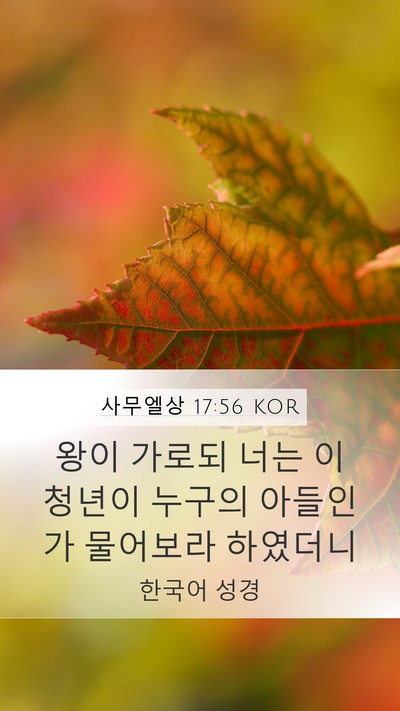 사무엘상 17:56 KOR Mobile Phone Wallpaper - 왕이 가로되 너는 이 청년이 누구의 - Mobile Bible Verse Wallpaper