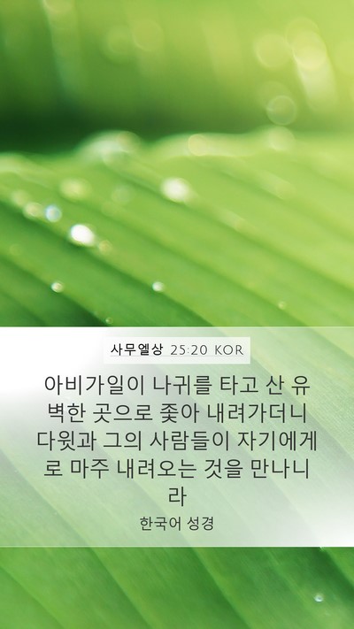 사무엘상 25:20 KOR Mobile Phone Wallpaper - 아비가일이 나귀를 타고 산 유벽한 - Mobile Bible Verse Wallpaper