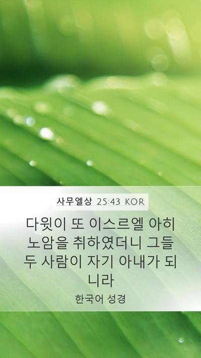 사무엘상 25:43 KOR Mobile Phone Wallpaper - 다윗이 또 이스르엘 아히노암을 - Mobile Bible Verse Wallpaper