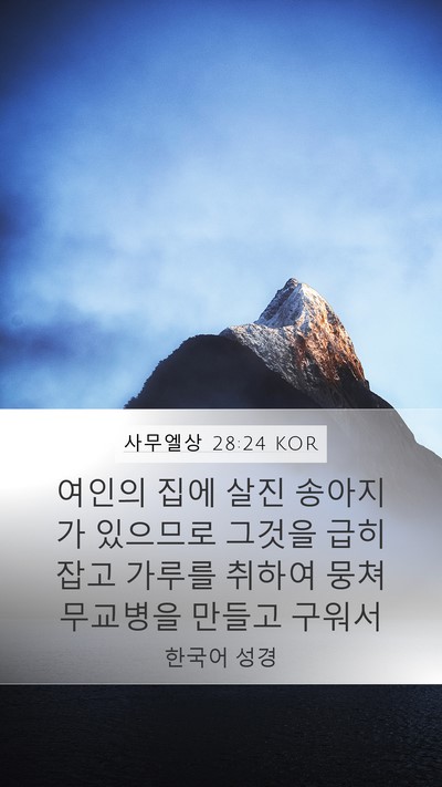 사무엘상 28:24 KOR Bible Verse Image