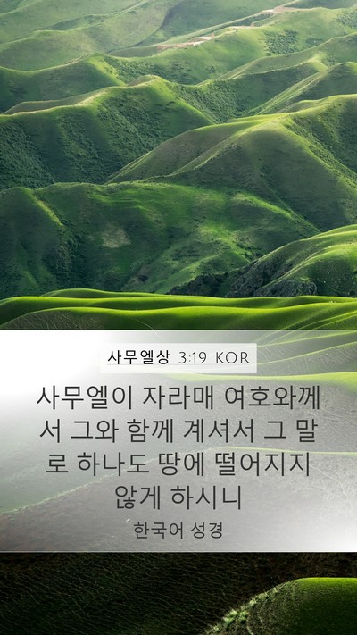 사무엘상 3:19 KOR Bible Verse Image
