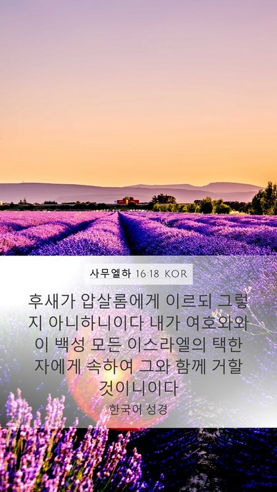 사무엘하 16:18 KOR Bible Verse Image