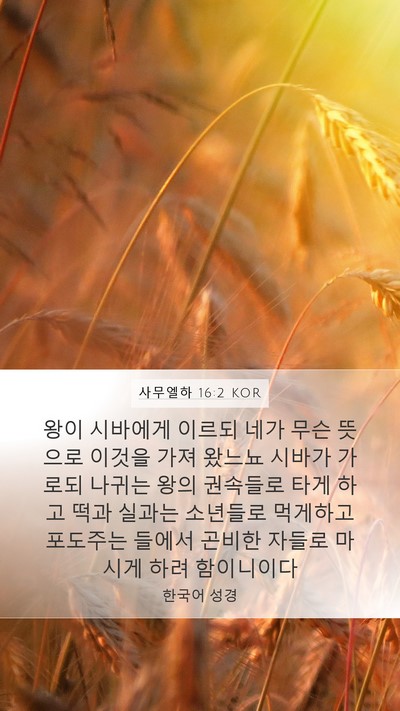 사무엘하 16:2 KOR Mobile Phone Wallpaper - 왕이 시바에게 이르되 네가 무슨 - Mobile Bible Verse Wallpaper