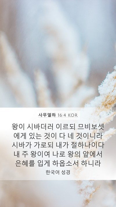 사무엘하 16:4 KOR Bible Verse Image