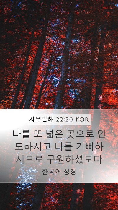 사무엘하 22:20 KOR Bible Verse Image
