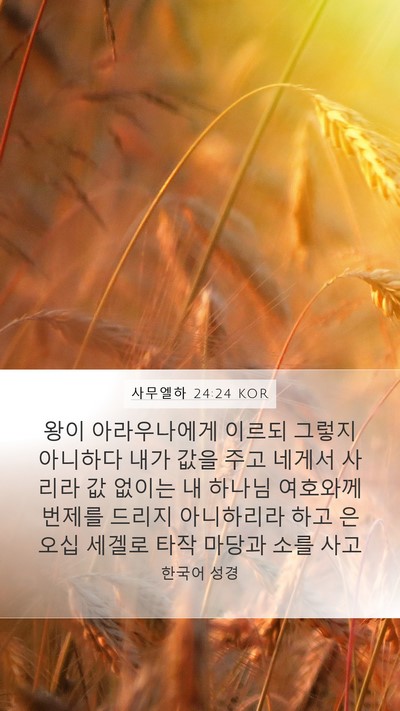 사무엘하 24:24 KOR Mobile Phone Wallpaper - 왕이 아라우나에게 이르되 그렇지 - Mobile Bible Verse Wallpaper