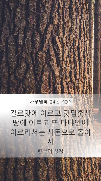사무엘하 24:6 KOR Mobile Phone Wallpaper - 길르앗에 이르고 닷딤홋시 땅에 - Mobile Bible Verse Wallpaper