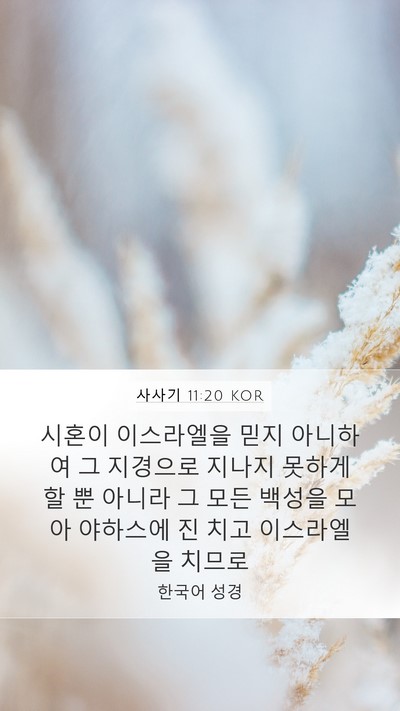 사사기 11:20 KOR Bible Verse Image