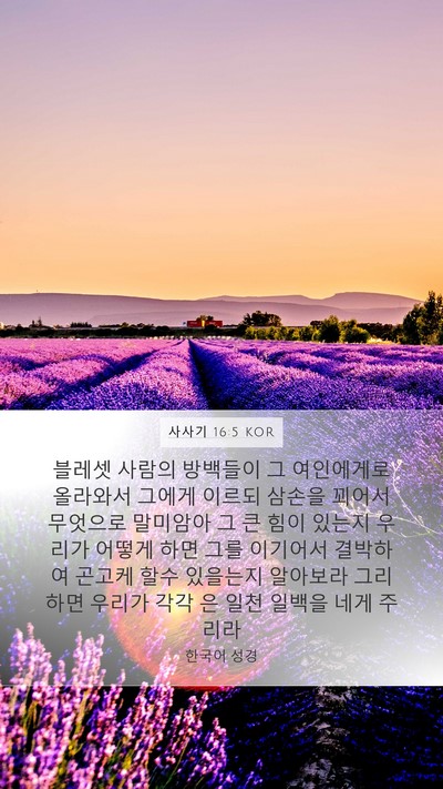 사사기 16:5 KOR Mobile Phone Wallpaper - 블레셋 사람의 방백들이 그 - Mobile Bible Verse Wallpaper
