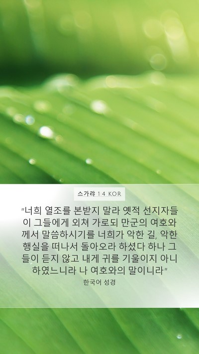 스가랴 1:4 KOR Bible Verse Image
