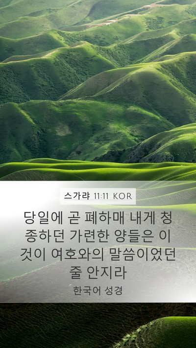스가랴 11:11 KOR Bible Verse Image
