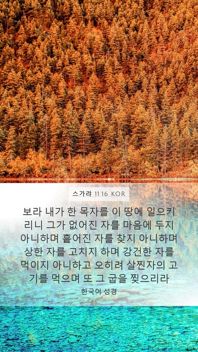 스가랴 11:16 KOR Bible Verse Image