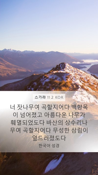 스가랴 11:2 KOR Bible Verse Image