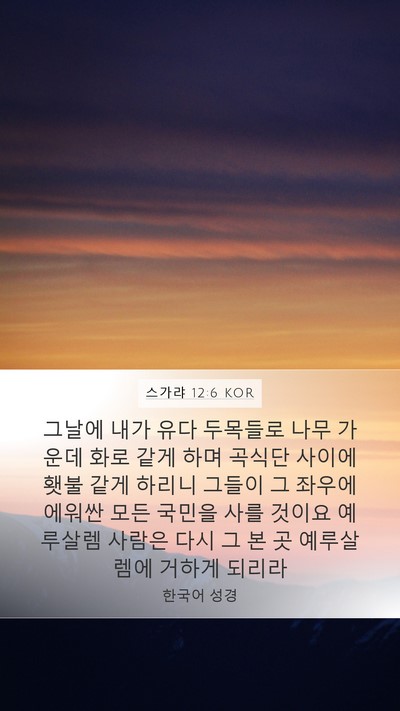 스가랴 12:6 KOR Bible Verse Image