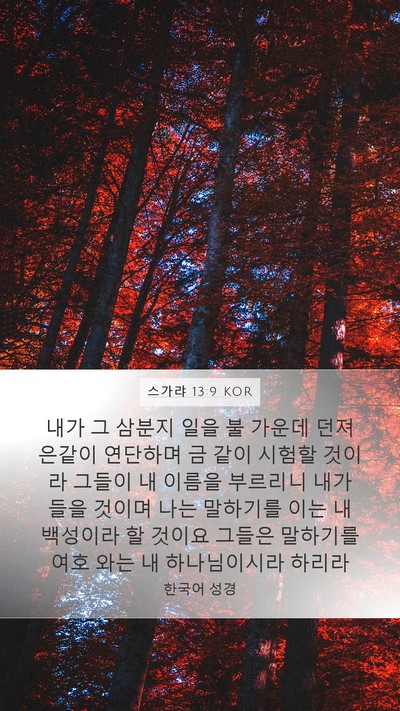 스가랴 13:9 KOR Bible Verse Image