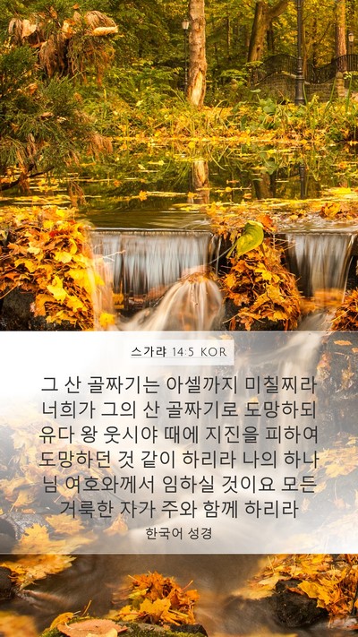스가랴 14:5 KOR Bible Verse Image