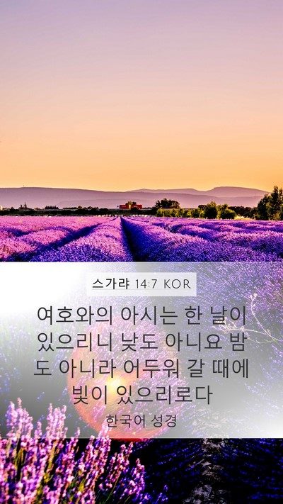 스가랴 14:7 KOR Bible Verse Image