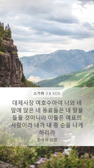 스가랴 3:8 KOR Bible Verse Image