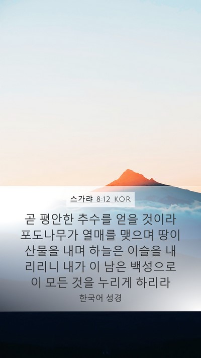 스가랴 8:12 KOR Bible Verse Image