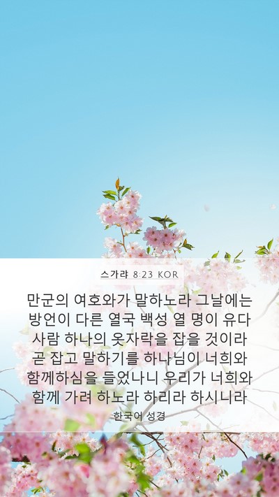 스가랴 8:23 KOR Bible Verse Image