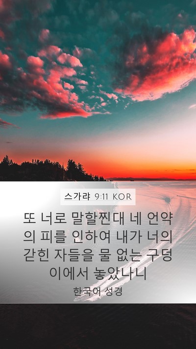 스가랴 9:11 KOR Bible Verse Image