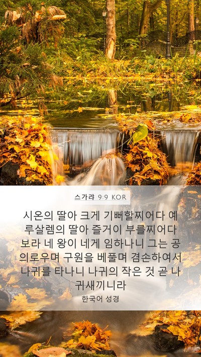 스가랴 9:9 KOR Bible Verse Image