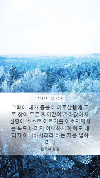 스바냐 1:12 KOR Bible Verse Image