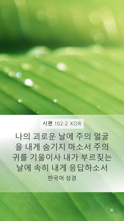 시편 102:2 KOR Bible Verse Image