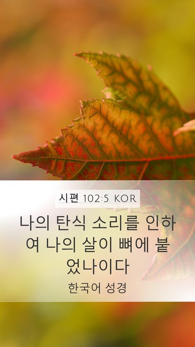 시편 102:5 KOR Bible Verse Image