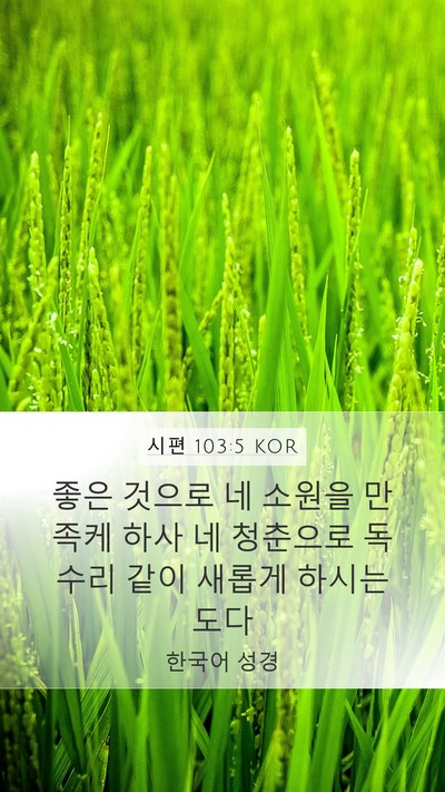 시편 103:5 KOR Bible Verse Image