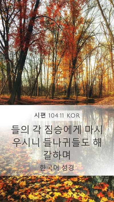 시편 104:11 KOR Bible Verse Image