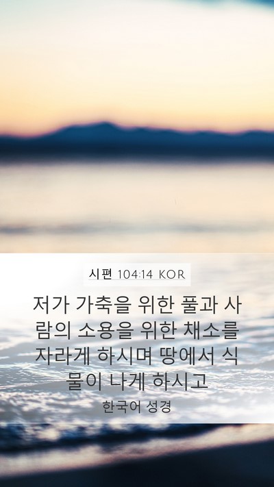 시편 104:14 KOR Bible Verse Image