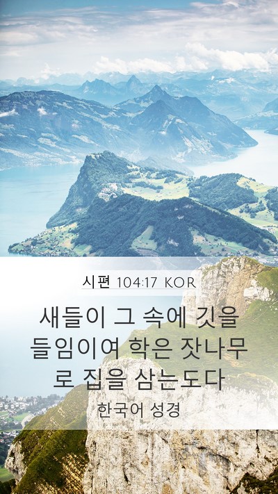 시편 104:17 KOR Bible Verse Image