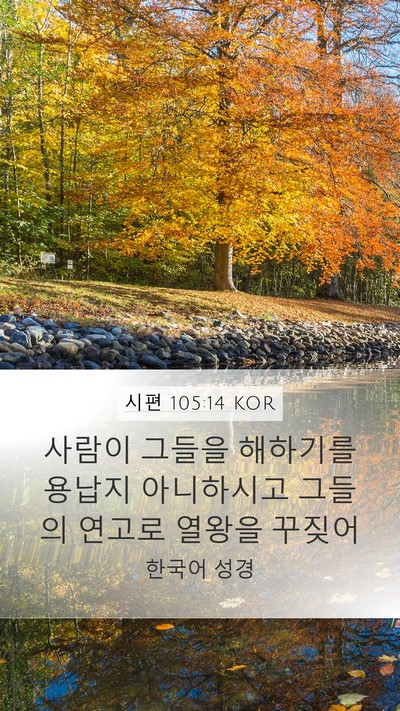 시편 105:14 KOR Bible Verse Image