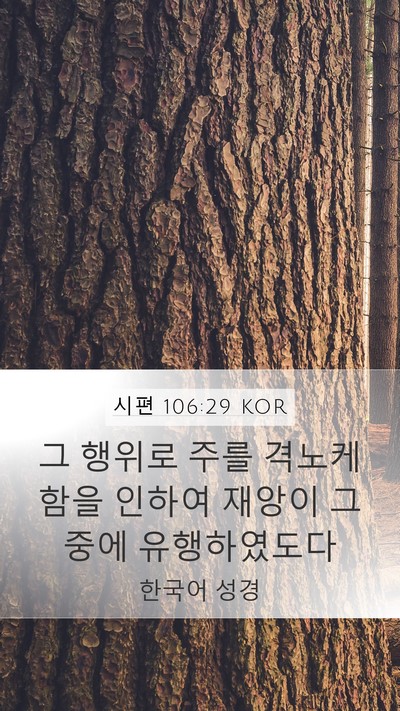 시편 106:29 KOR Mobile Phone Wallpaper - 그 행위로 주를 격노케 함을 인하여 - Mobile Bible Verse Wallpaper