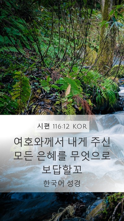 시편 116:12 KOR Bible Verse Image