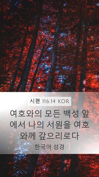 시편 116:14 KOR Bible Verse Image