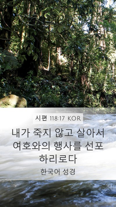 시편 118:17 KOR Bible Verse Image