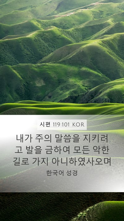 시편 119:101 KOR Mobile Phone Wallpaper - 내가 주의 말씀을 지키려고 발을 - Mobile Bible Verse Wallpaper