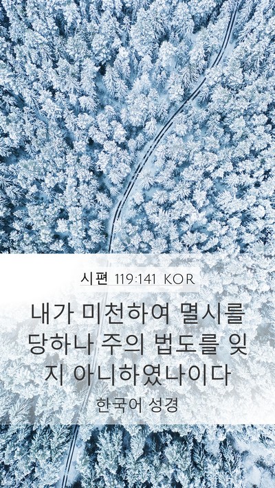 시편 119:141 KOR Mobile Phone Wallpaper - 내가 미천하여 멸시를 당하나 주의 - Mobile Bible Verse Wallpaper