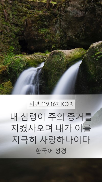시편 119:167 KOR Mobile Phone Wallpaper - 내 심령이 주의 증거를 지켰사오며 - Mobile Bible Verse Wallpaper