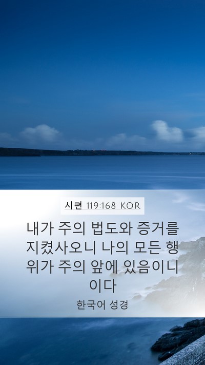 시편 119:168 KOR Mobile Phone Wallpaper - 내가 주의 법도와 증거를 지켰사오니 - Mobile Bible Verse Wallpaper