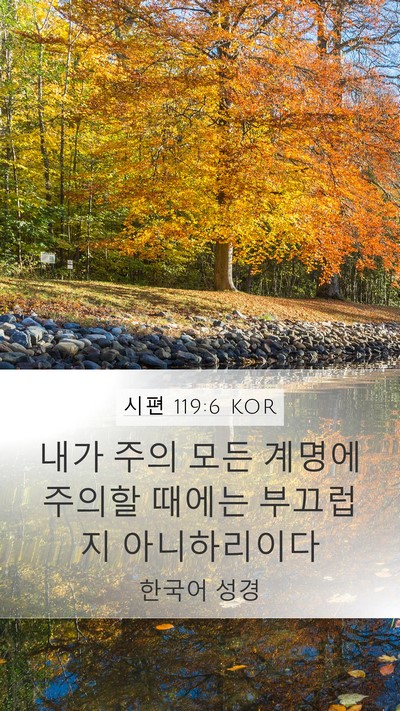 시편 119:6 KOR Bible Verse Image