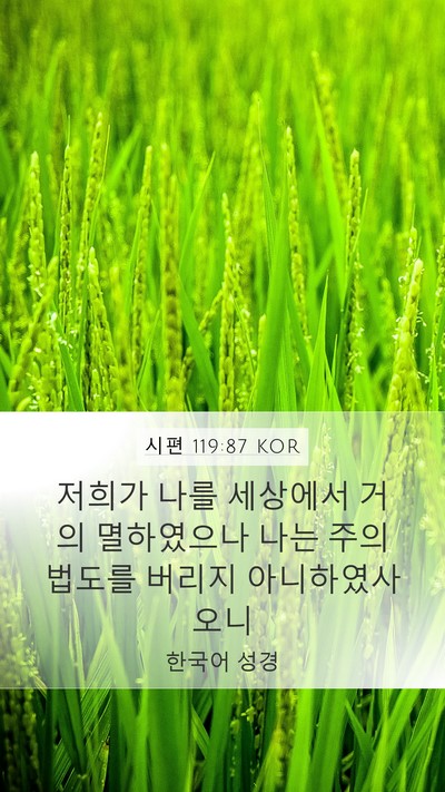 시편 119:87 KOR Mobile Phone Wallpaper - 저희가 나를 세상에서 거의 - Mobile Bible Verse Wallpaper