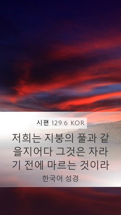 시편 129:6 KOR Bible Verse Image
