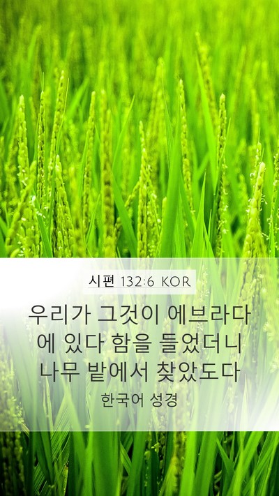 시편 132:6 KOR Mobile Phone Wallpaper - 우리가 그것이 에브라다에 있다 함을 - Mobile Bible Verse Wallpaper