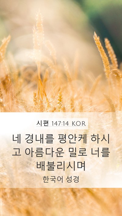 시편 147:14 KOR Bible Verse Image
