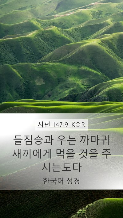 시편 147:9 KOR Bible Verse Image